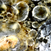 Mold