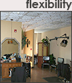 Flexibility