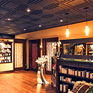 Designer Ceiling Tiles