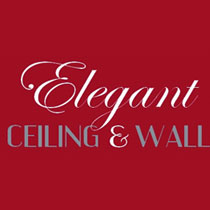 Elegant Ceiling and Walls