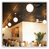 2 x 4 Ceiling Panels